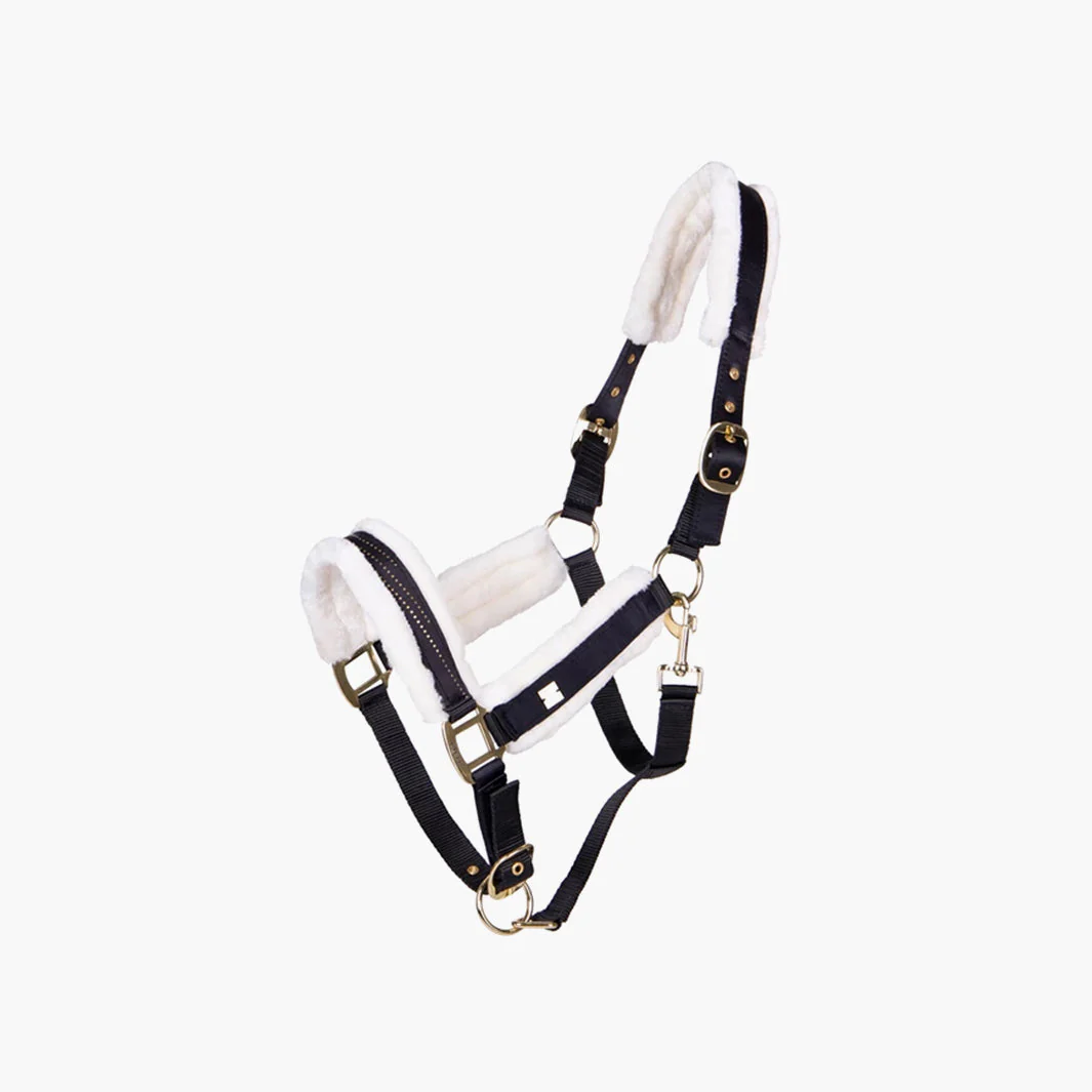 LICOL MENTON | QHP – Image 7