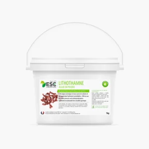 LITHOTHAMNE – REMINERALISATION ET ACIDITE GASTRIQUE | ESC