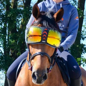 LUNETTES EVYSOR ANTI-UV | EQUICK