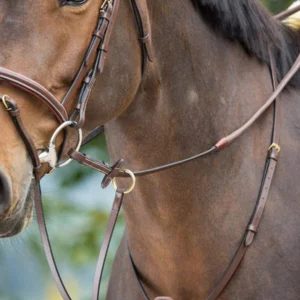 MARTINGALE A ANNEAUX | HFI