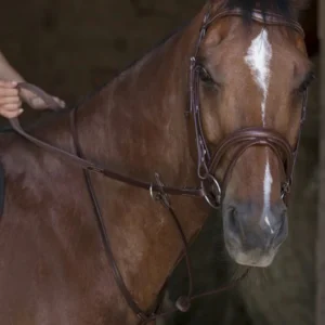 MARTINGALE A ANNEAUX | NORTON