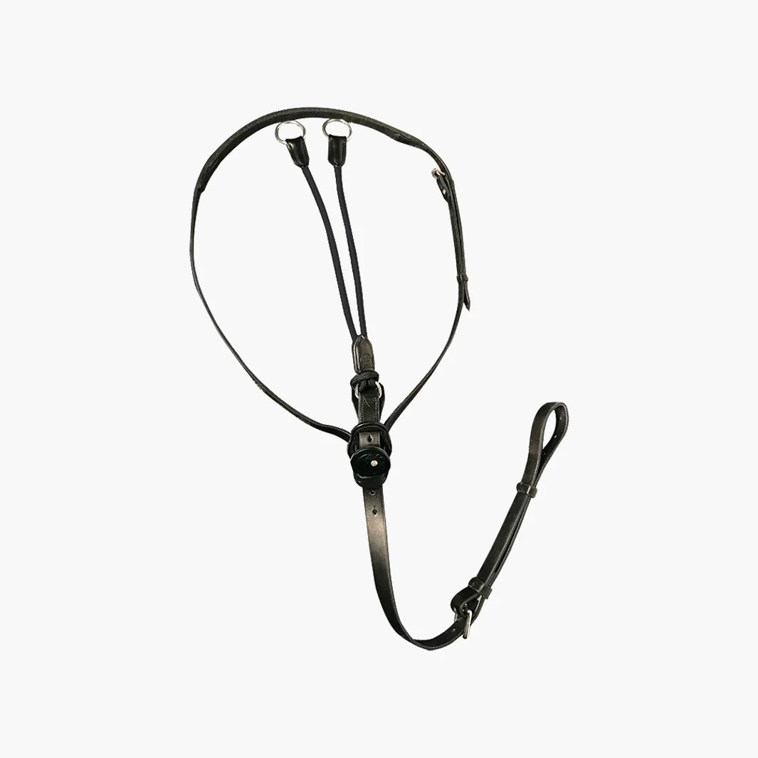 MARTINGALE C-CURE ÉLASTIQUE | IHWT – Image 2