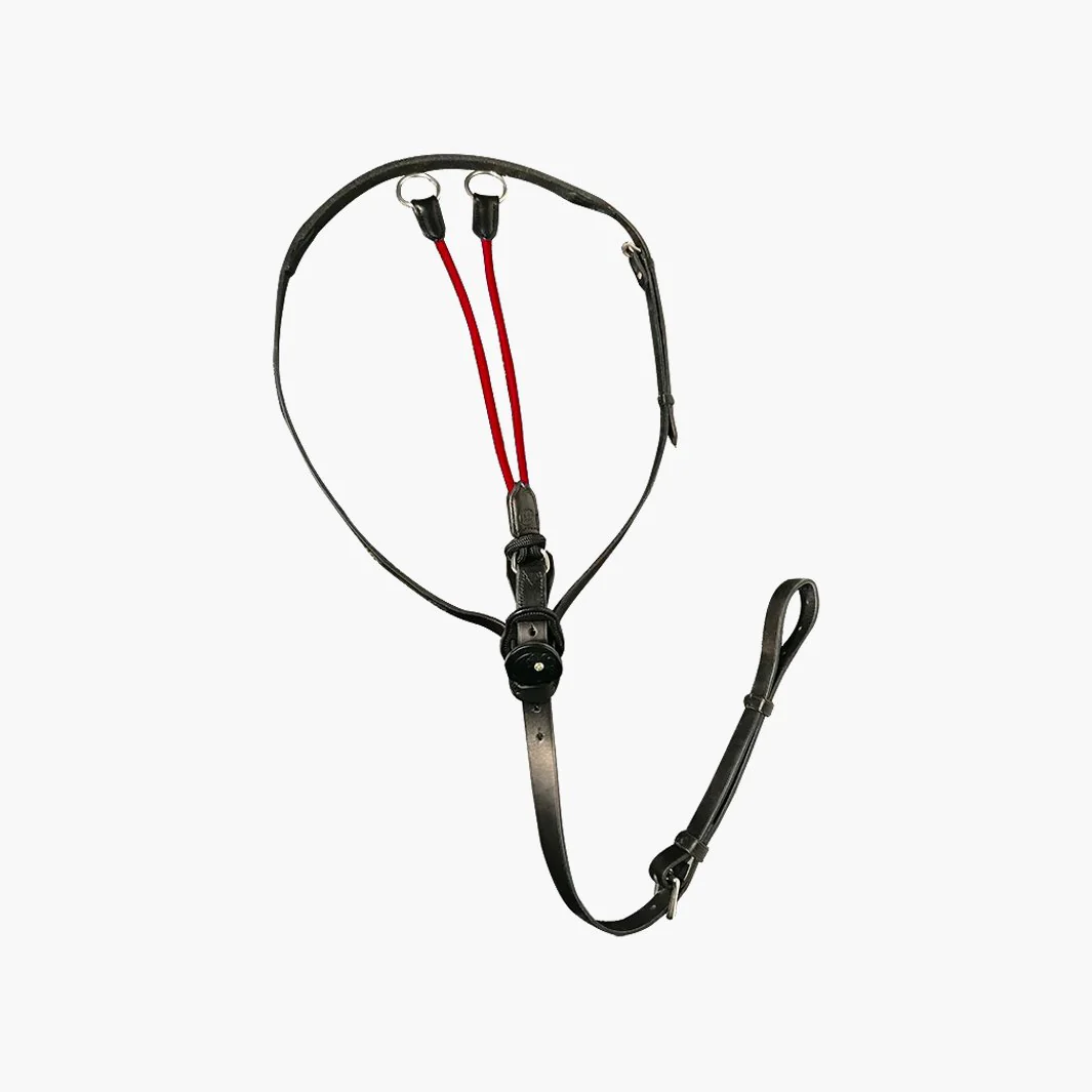 MARTINGALE C-CURE ÉLASTIQUE | IHWT – Image 3