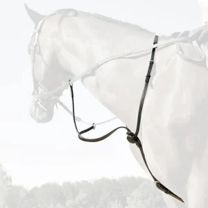 MARTINGALE C-CURE | IHWT