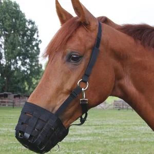 PANIER MUSELIÈRE DE PÂTURAGE | WALDHAUSEN