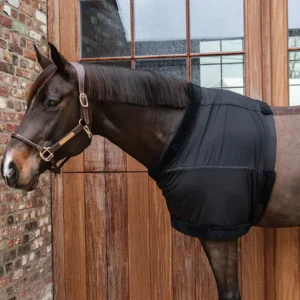 PROTÈGE POITRAIL | KENTUCKY