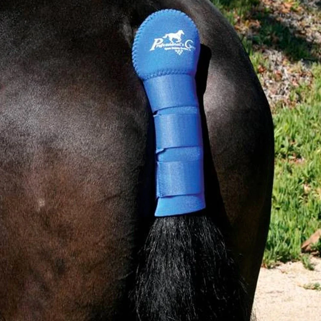 PROTEGE QUEUE | PROFESSIONNAL’S CHOICE – Image 3